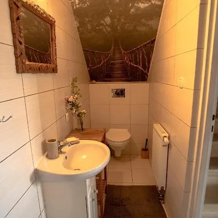 بيت للعطل Dom Nad Jeziorem W Borzechowie *